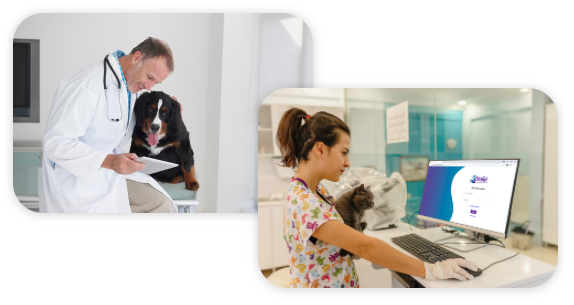 médico veterinario usando la tablet junto a un perro y médica veterinaria utilizando el sistema web de Volki en una pc junto a un gato