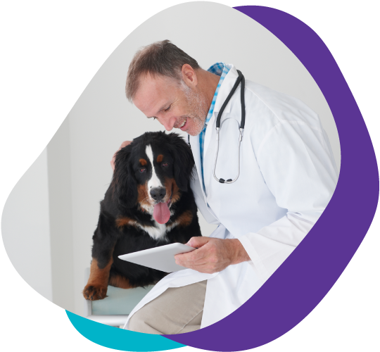 médico veterinario usando una tablet junto a un perro